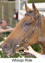 r4whoopiride2.jpg (13540 bytes)
