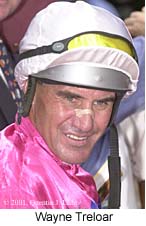 r4wtreloar.jpg (15326 bytes)