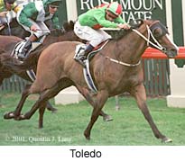 r6toledo.jpg (19097 bytes)