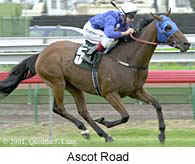 wpeC6.jpg (6702 bytes)