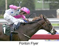 r8pontonflyer.jpg (14867 bytes)