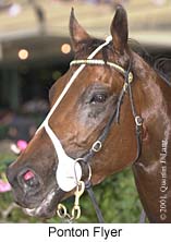 r8pontonflyer2.jpg (15177 bytes)