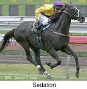 r9sedation.jpg (16188 bytes)