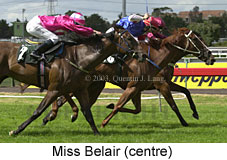 Miss Belair (17568 bytes)