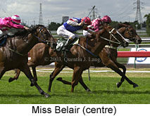 Miss Belair (15620 bytes)