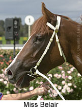 Miss Belair (13199 bytes)