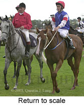 Return to scale (13605 bytes)