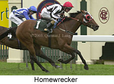 Homewrecker (14717 bytes)