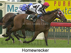 Homewrecker (16634 bytes)