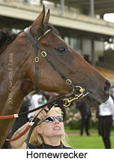 Homewrecker (12878 bytes)