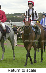 Return to scale (14171 bytes)