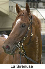 La Sirenuse (10740 bytes)