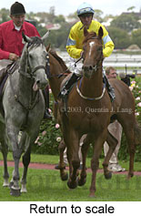 Return to scale (15640 bytes)