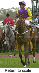 Return to scale (15285 bytes)