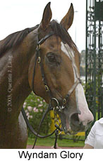 Wyndam Glory (12067 bytes)