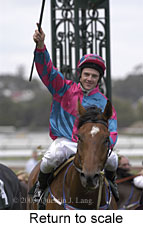 Return to scale (11903 bytes)