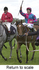 Return to scale (13010 bytes)