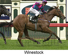 Winestock (17566 bytes)