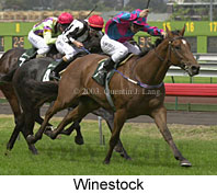 Winestock (14758 bytes)