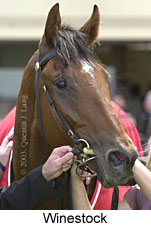 Winestock (11439 bytes)