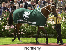 Northerly (20707 bytes)