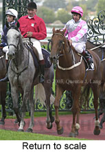 Return to scale (15364 bytes)