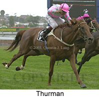 Thurman (13353 bytes)
