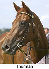 Thurman (11730 bytes)