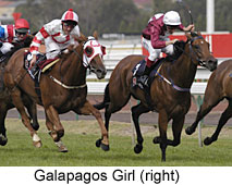 Galapagos Girl (16474 bytes)