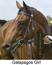 Galapagos Girl (11563 bytes)