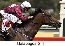 Galapagos Girl (14552 bytes)