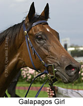 Galapagos Girl (12065 bytes)