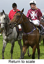 Return to scale (15000 bytes)