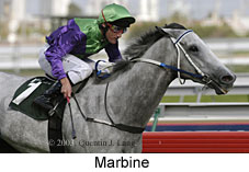 Marbine (12749 bytes)