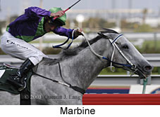 Marbine (13372 bytes)