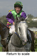 Return to scale (11547 bytes)