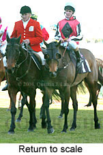 Return to scale (18273 bytes)