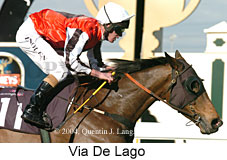 Via De Lago (15541 bytes)