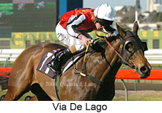 Via De Lago (15541 bytes)