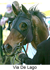 Via De Lago (15541 bytes)