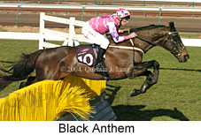 Black Anthem (15541 bytes)