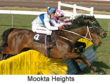 Mookta Heights (18473 bytes)