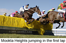 Mookta Heights (15541 bytes)