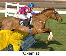 Okemist (15541 bytes)