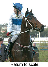 Return to scale (18273 bytes)