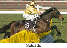 Soldado (15541 bytes)