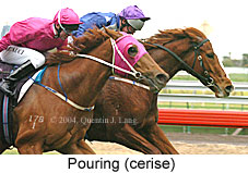 Pouring (15541 bytes)