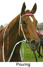 Pouring (15541 bytes)