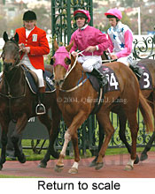 Return to scale (18273 bytes)