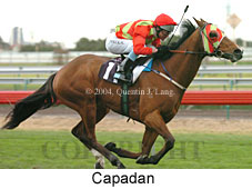 Capadan (15541 bytes)